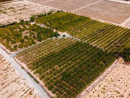 Parcela rústica en venta en Cieza