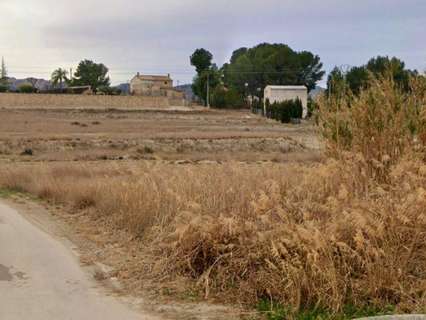 Parcela rústica en venta en Cieza rebajada