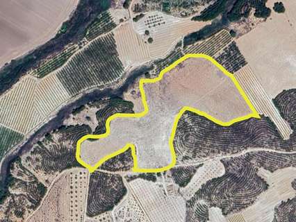 Parcela rústica en venta en Cieza