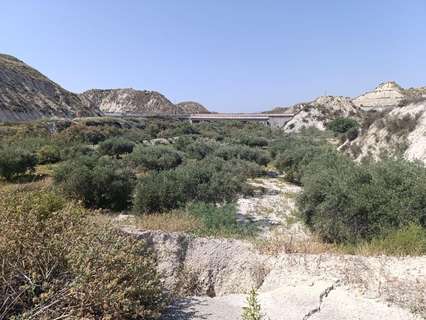 Parcela rústica en venta en Albudeite