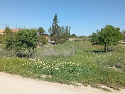 Parcela rústica en venta en Murcia zona Sangonera la Seca