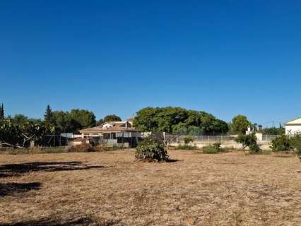 Parcela rústica en venta en Murcia rebajada