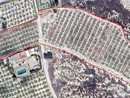 Parcela rústica en venta en Cieza