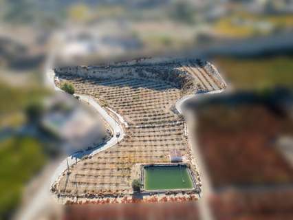 Parcela rústica en venta en Abarán