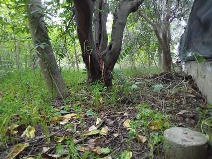 Parcela rústica en venta en Murcia