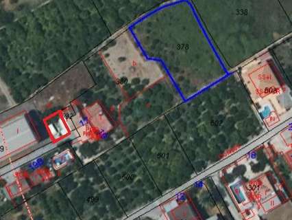 Parcela rústica en venta en Murcia zona Beniaján