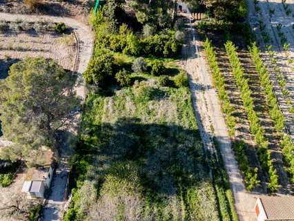 Parcela rústica en venta en Cieza