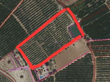 Parcela rústica en venta en Cieza