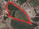 Parcela rústica en venta en Cieza