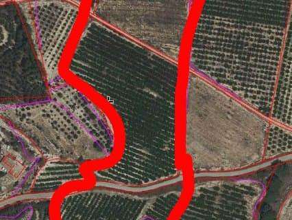 Parcela rústica en venta en Cieza