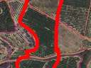 Parcela rústica en venta en Cieza