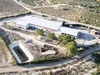 Nave industrial en alquiler en Cieza