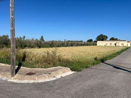 Parcela rústica en venta en Deltebre