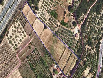 Parcela rústica en venta en Freginals