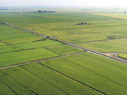 Parcela rústica en venta en Deltebre