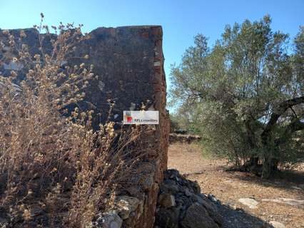 Parcela rústica en venta en L'Ampolla