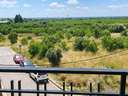 Apartamento en venta en Torreblanca