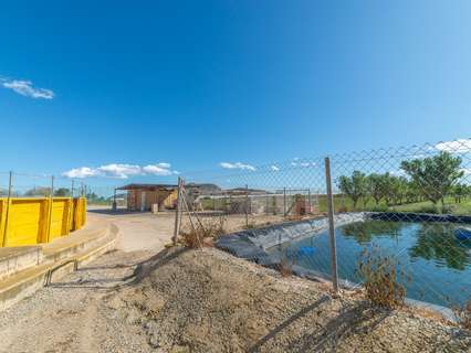 Casa rústica en venta en Torre-Pacheco