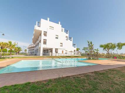 Planta baja en venta en Torre-Pacheco rebajada