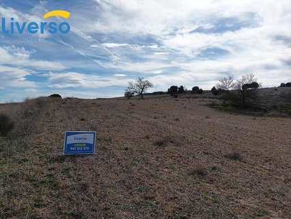 Parcela rústica en venta en Aranda de Duero