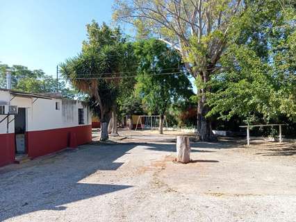 Local comercial en alquiler en Alcalá de Guadaíra