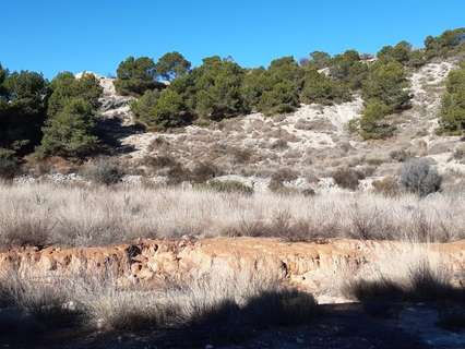 Parcela rústica en venta en Elche/Elx