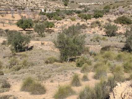 Parcela rústica en venta en Hondón de las Nieves