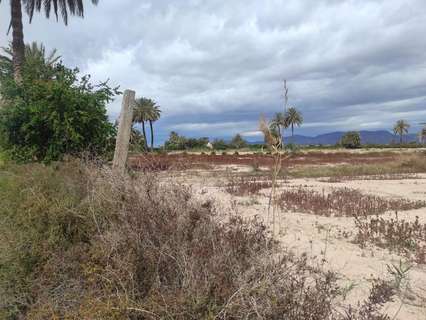 Parcela rústica en venta en Elche/Elx