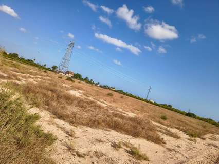 Parcela rústica en venta en Elche/Elx
