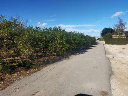 Parcela rústica en venta en Elche/Elx