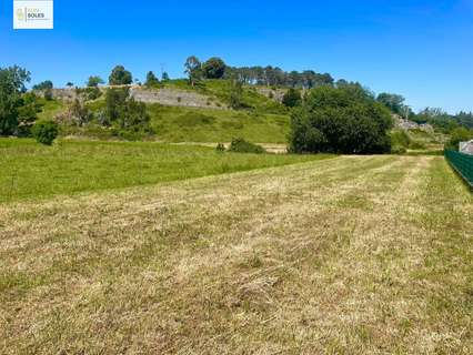 Parcela rústica en venta en Reocín zona Villapresente