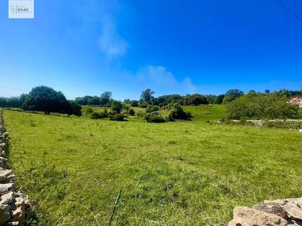 Parcela rústica en venta en Reocín zona Villapresente