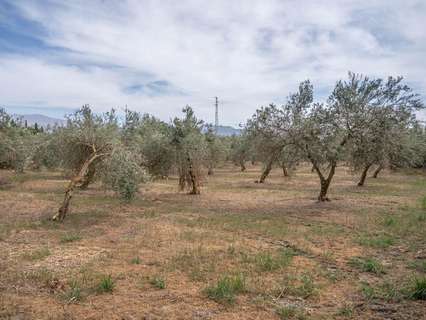 Parcela rústica en venta en Las Gabias