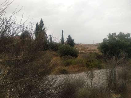 Parcela rústica en venta en Molina de Segura