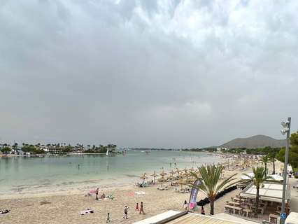 Estudio en venta en Alcúdia