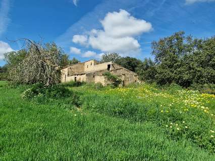 Casa rústica en venta en Manacor