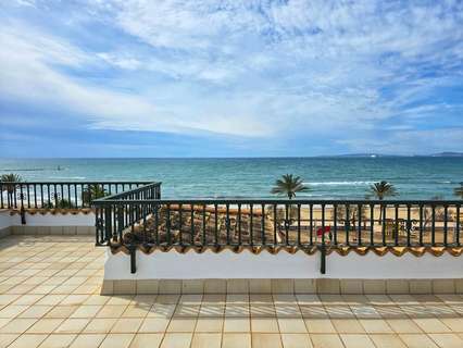 Piso en alquiler en Palma de Mallorca