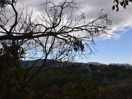 Planta baja en venta en Campanet