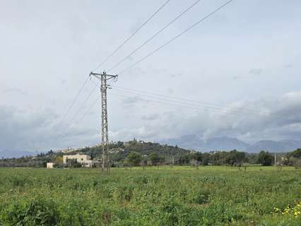 Parcela rústica en venta en Búger