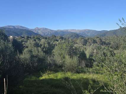 Parcela urbana en venta en Campanet