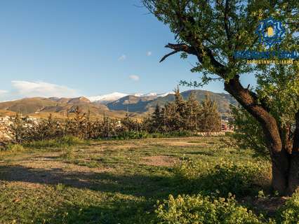 Parcela rústica en venta en Granada rebajada