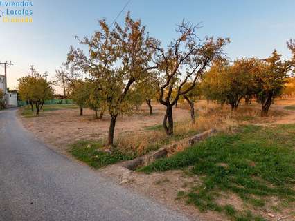 Parcela rústica en venta en Gójar