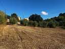Casa rústica en venta en Campanet