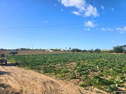 Parcela rústica en venta en Elche/Elx zona Las Bayas