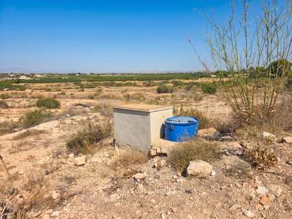 Parcela rústica en venta en Elche/Elx