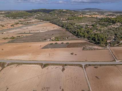 Parcela rústica en venta en Montuïri