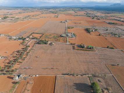 Parcela rústica en venta en Campos