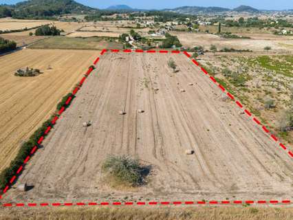 Parcela rústica en venta en Sineu rebajada