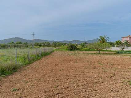 Parcela urbana en venta en Porreres