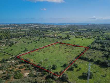 Parcela rústica en venta en Sant Llorenç des Cardassar